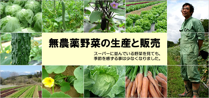 無農薬野菜の生産と販売